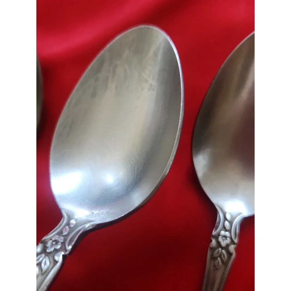 Springtime vintage stainless